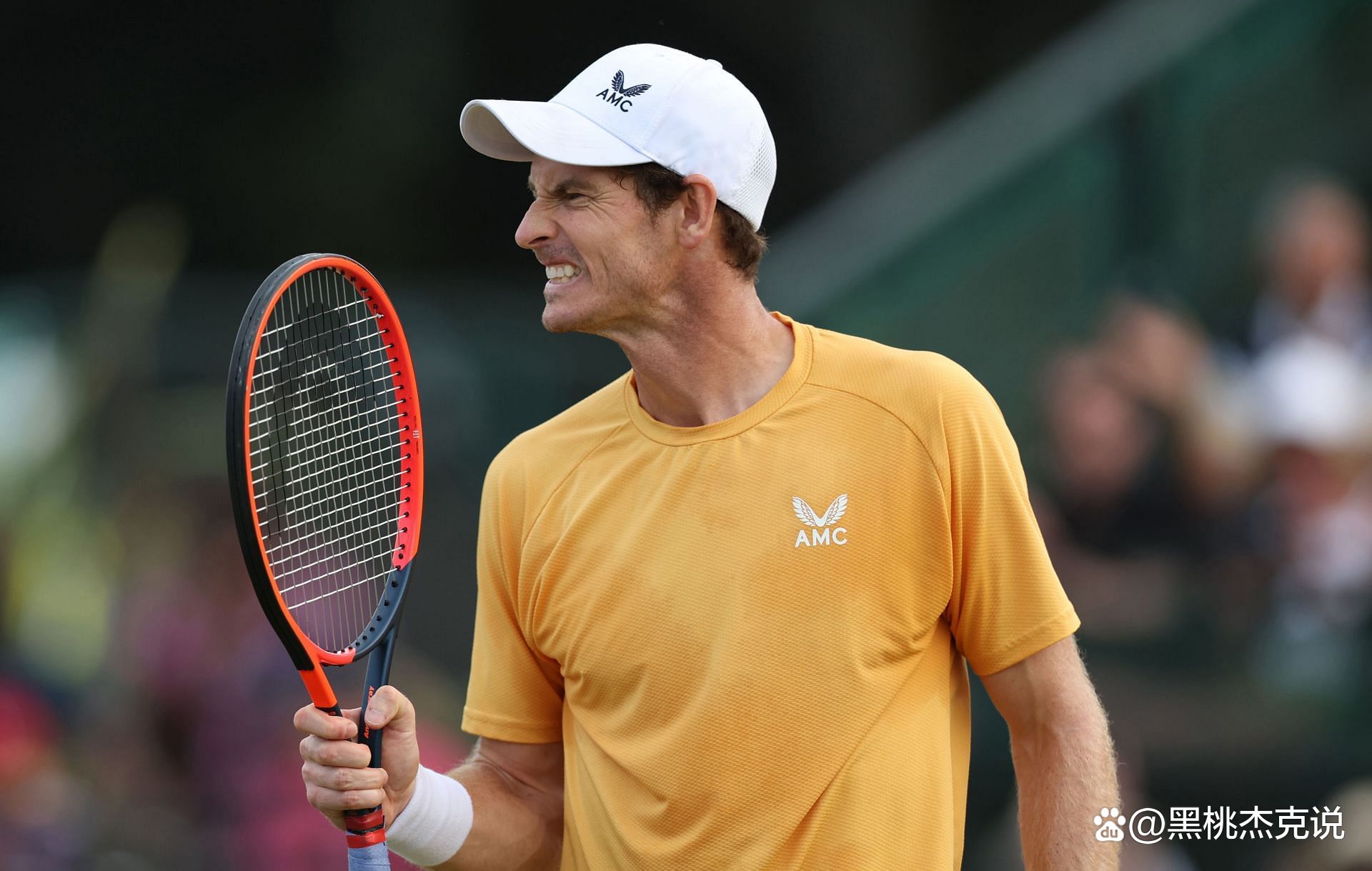 年终总决赛险胜温网，穆雷带队取胜